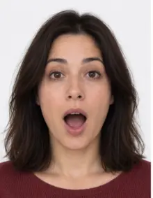 Refused example: mouth open